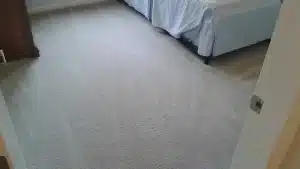 Gallery image 2 — oriental rug cleaning Chicago, IL