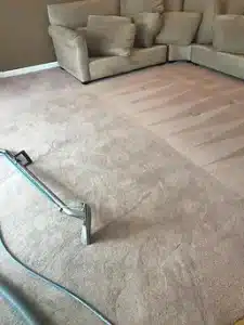 Gallery image 8 — oriental rug cleaning Chicago, IL