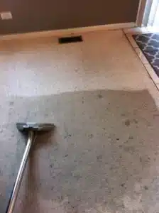 carpet cleaning in Chicago, IL