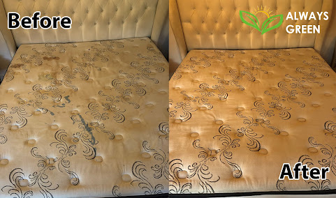 Gallery image 3 — professional rug cleaning near me