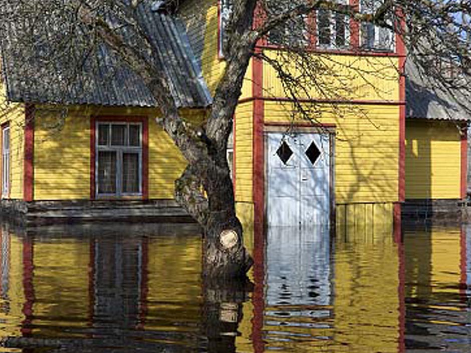 Gallery image 5 — upholstery cleaning near me