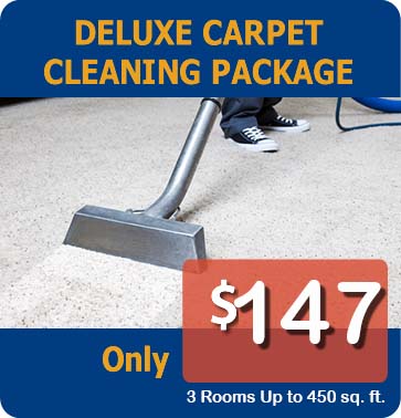 Gallery image 4 — upholstery cleaning near me