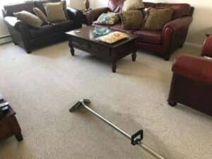 Gallery image 6 — commercial carpet cleaning Queens