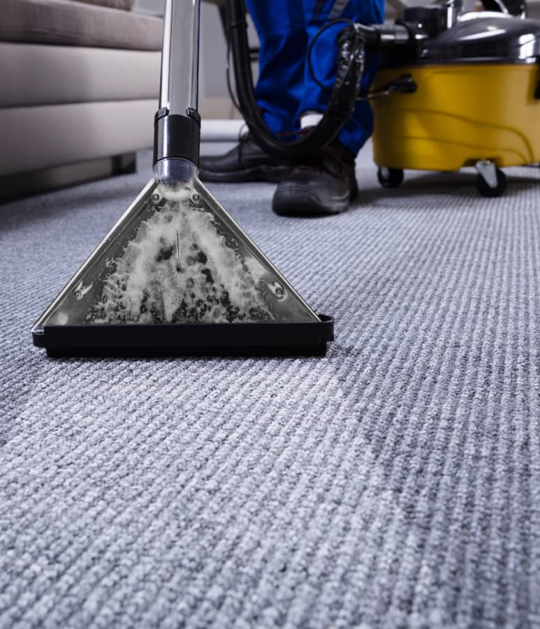 Gallery image 9 — commercial carpet cleaning Queens