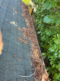 commercial exterior cleaning Belmont