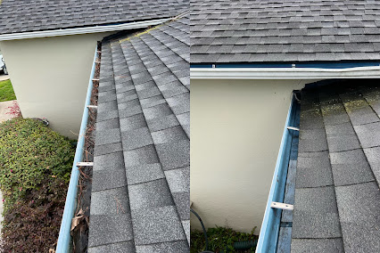 gutter cleaning Redwood City