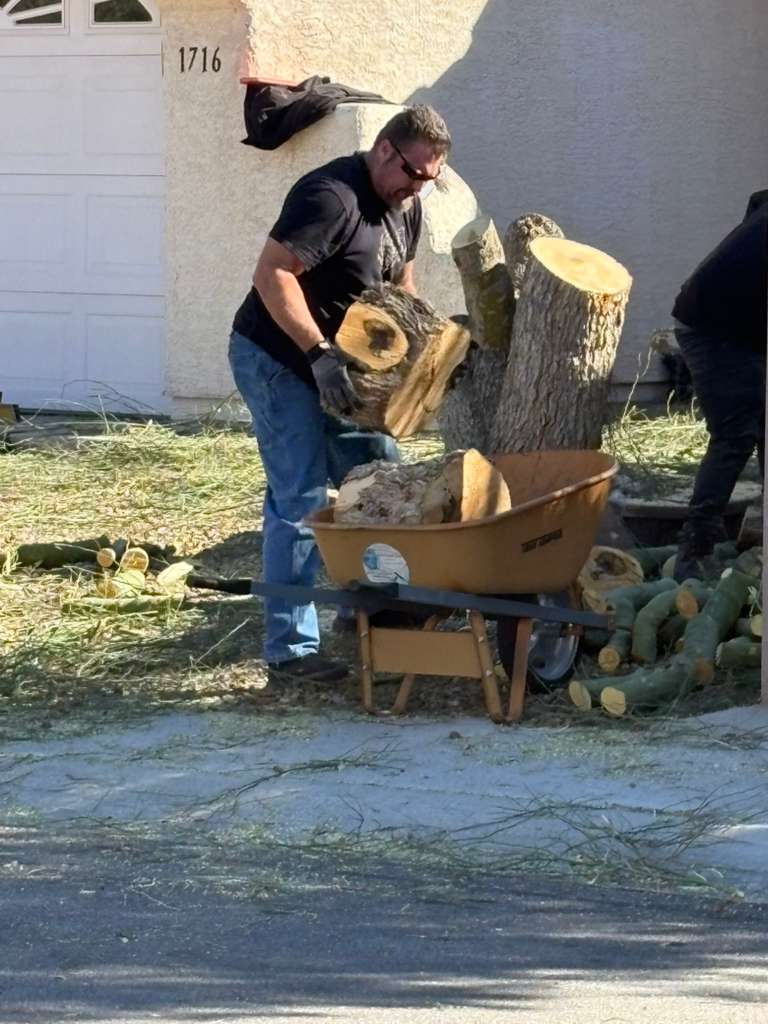 About junk removal Las Vegas