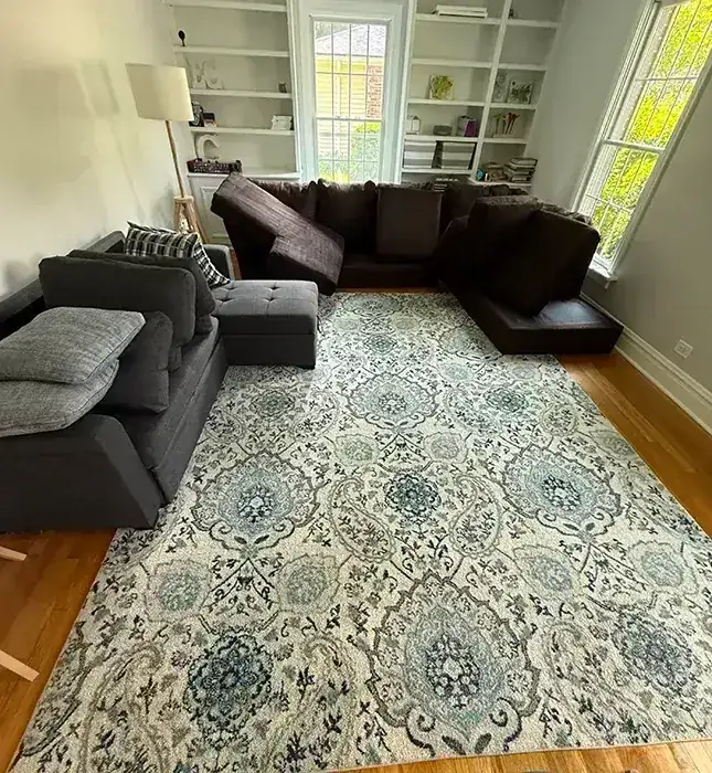 Gallery image 1 — carpet cleaning service Chicago