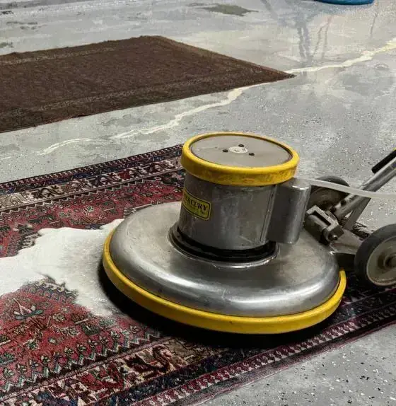 Gallery image 4 — carpet cleaning service Chicago