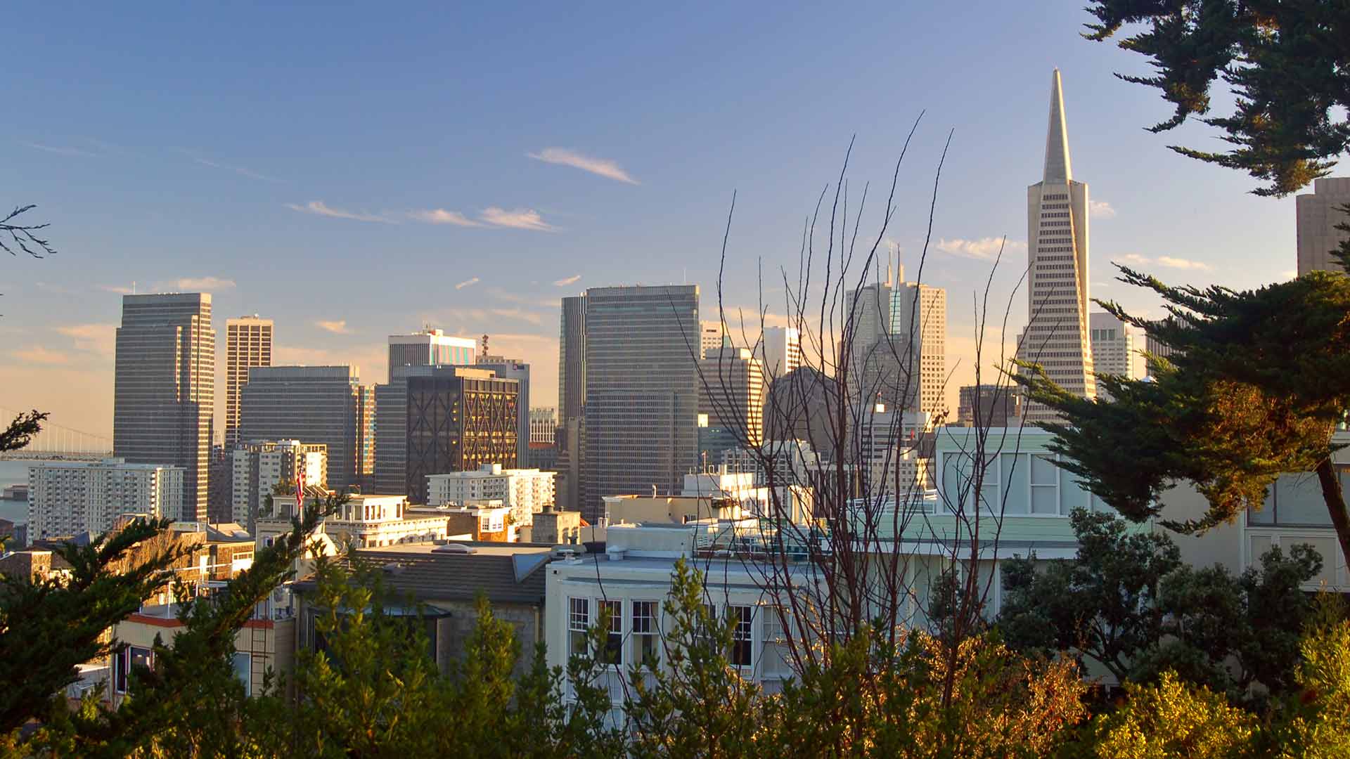 Gallery image 1 — pressure washing San Francisco