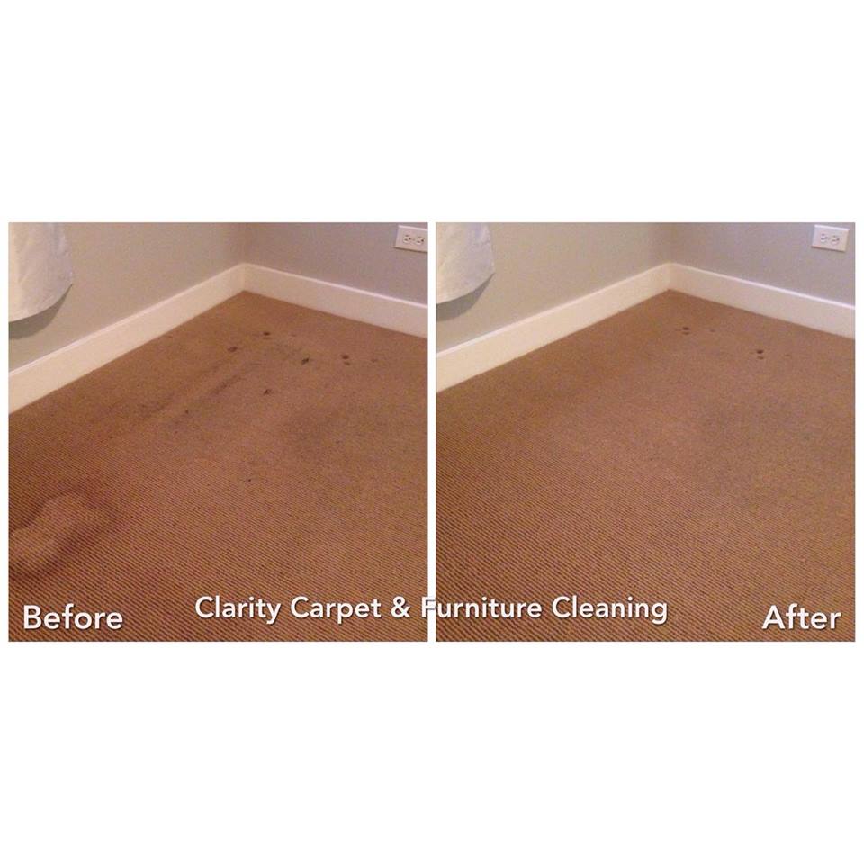 Gallery image 2 — carpet stain removal Chicago