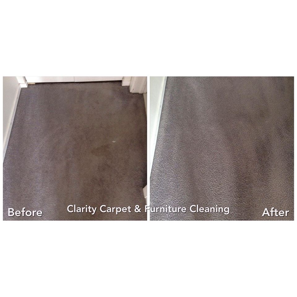 About carpet stain removal Chicago