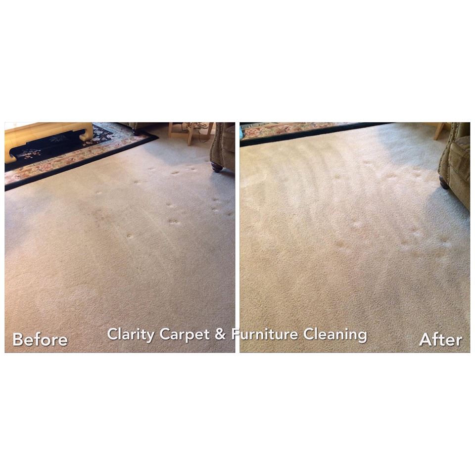carpet stain removal Chicago