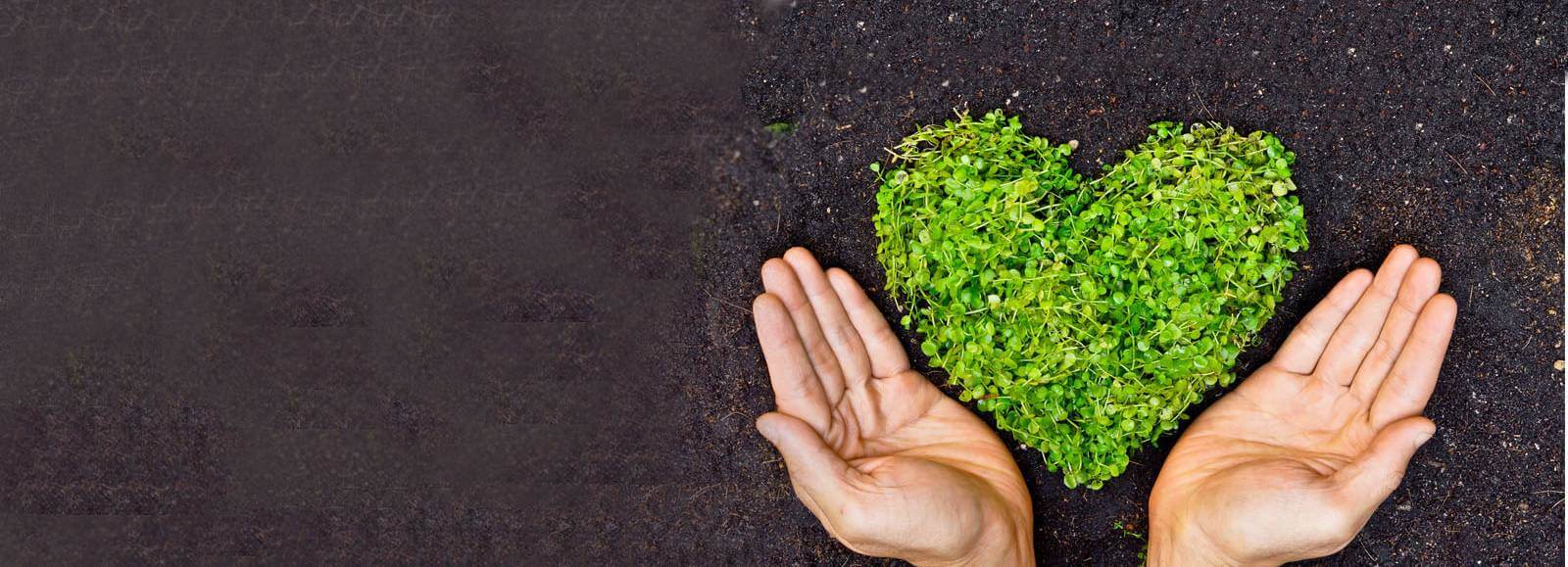 Gallery image 2 — emergency carpet cleaning Brooklyn