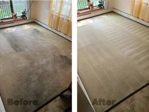 Gallery image 5 — affordable upholstery cleaning near me