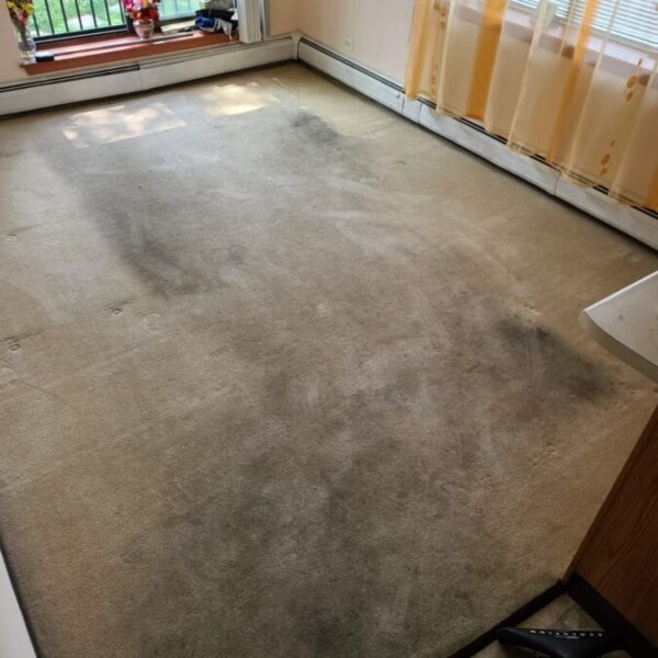 Gallery image 3 — affordable upholstery cleaning near me