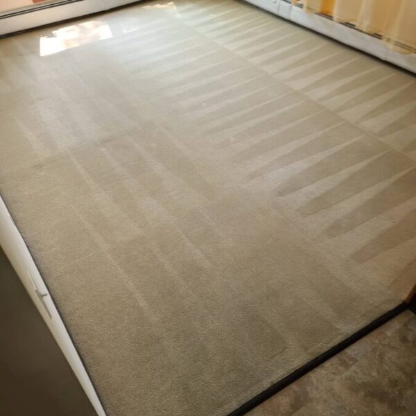 Gallery image 6 — affordable upholstery cleaning near me