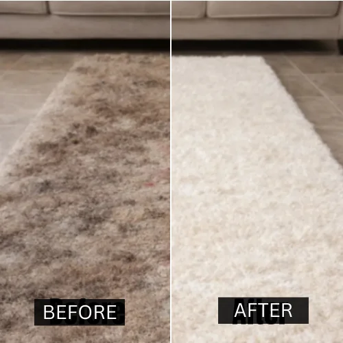 Gallery image 5 — Green Choice Carpet Cleaning NYC