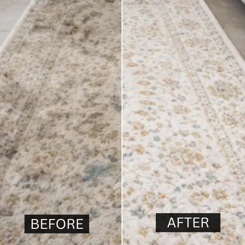 Gallery image 8 — Green Choice Carpet Cleaning NYC