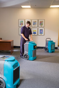 About carpet cleaning Woodridge