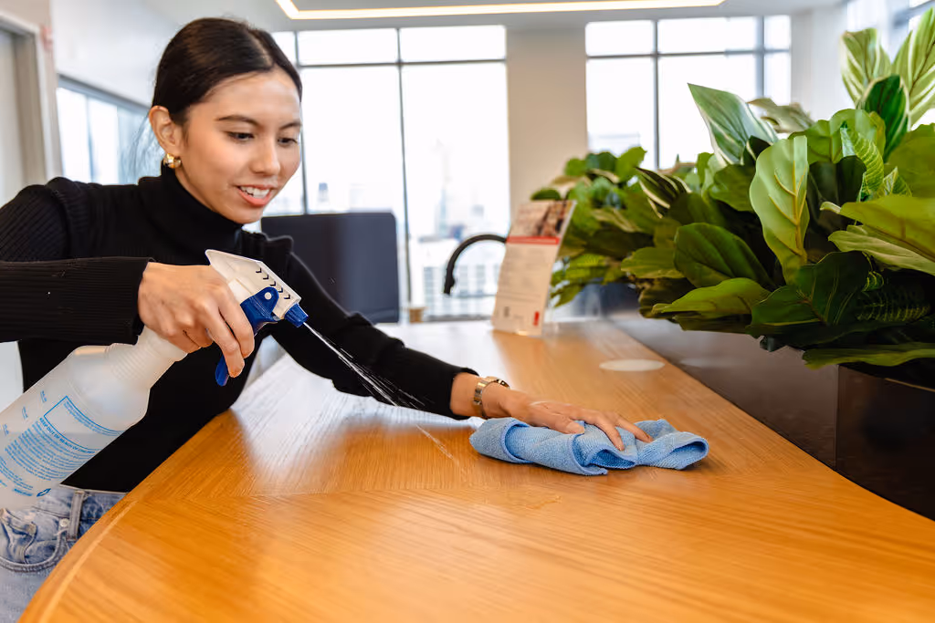 affordable house cleaning Chicago
