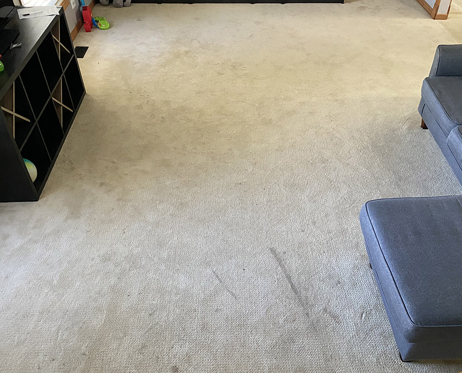 Gallery image 2 — area rug cleaning near me