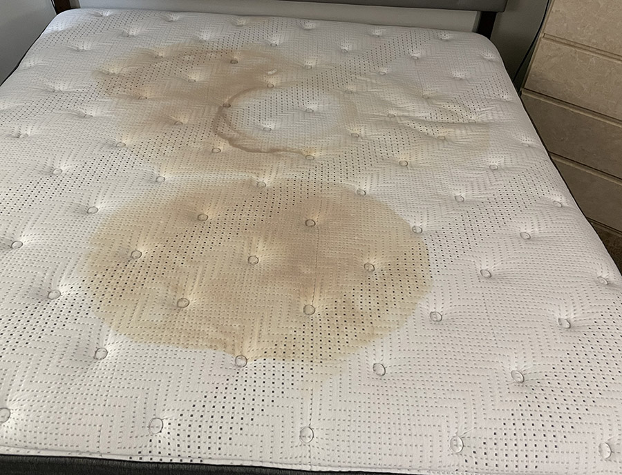 Gallery image 12 — mattress cleaning near me