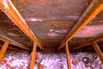 Gallery image 2 — commercial mold remediation Chicago