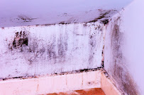 Gallery image 4 — commercial mold remediation Chicago