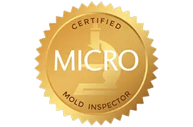 Gallery image 5 — professional sewage cleanup Chicago