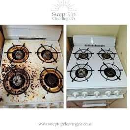 professional house cleaners Plano