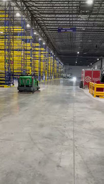 carpet cleaning services in South Florida