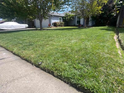 Gallery image 6 — bush trimming San Jose