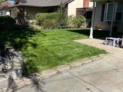 Gallery image 5 — bush trimming San Jose