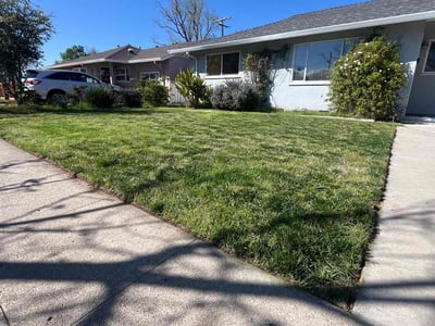 Gallery image 2 — bush trimming San Jose