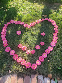 landscape cleanup San Jose