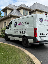 Gallery image 5 — best mold removal company near me