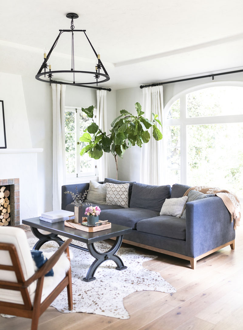 Gallery image 3 — best mold removal company near me