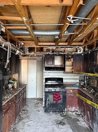 emergency mold removal Chicago