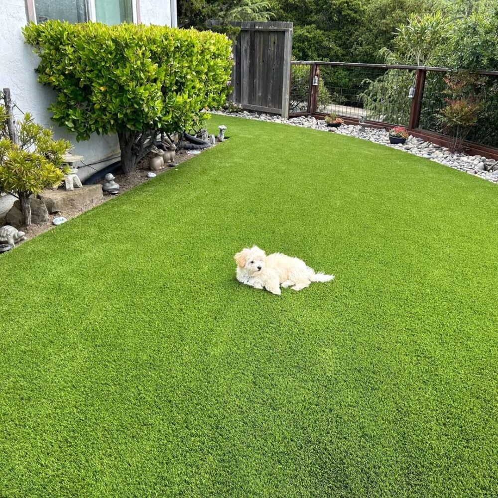 Gallery image 4 — artificial grass installation in Bay Area