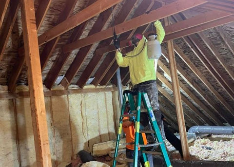 Gallery image 6 — crawl space mold removal Illinois