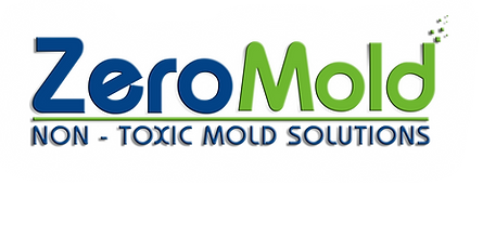crawl space mold removal Illinois