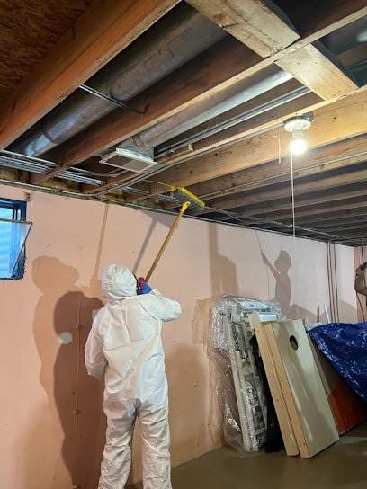 About crawl space mold removal Illinois
