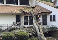 Gallery image 5 — certified mold remediation IL