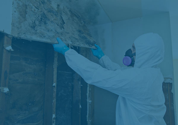 Gallery image 1 — certified mold remediation IL