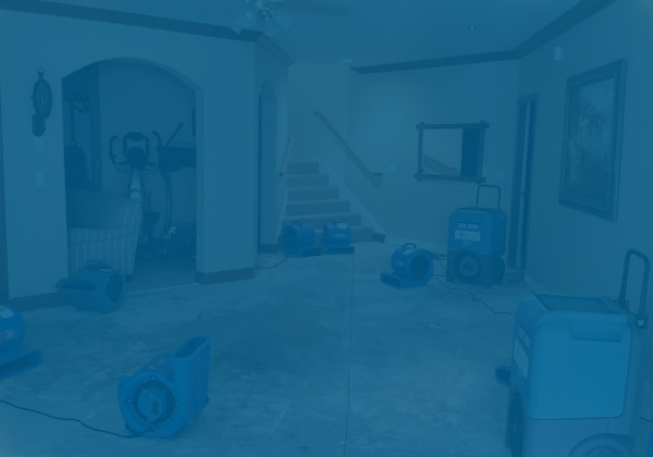 Gallery image 2 — certified mold remediation IL