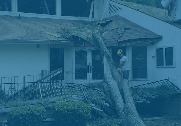 Gallery image 10 — certified mold remediation IL