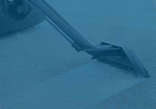 Gallery image 7 — certified mold remediation IL