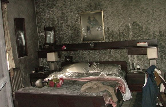 Gallery image 4 — certified mold remediation IL