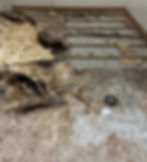 Gallery image 1 — water damage cleanup Vernon Hills